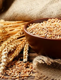 Biotin & Collagen Shampoo 88,7 ml - Hårvård