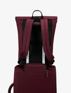 CITY PLUME ROLLTOP BACKPACK - Ryggsäckar