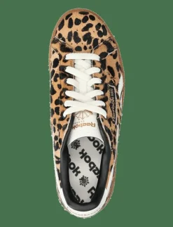 CLUB C GROUNDS UK - Låga sneakers