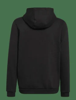 ENT22 HOODY - Huvtröjor