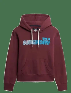 FADED CORE HOOD - Huvtröjor