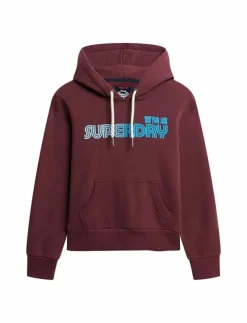 FADED CORE HOOD - Huvtröjor