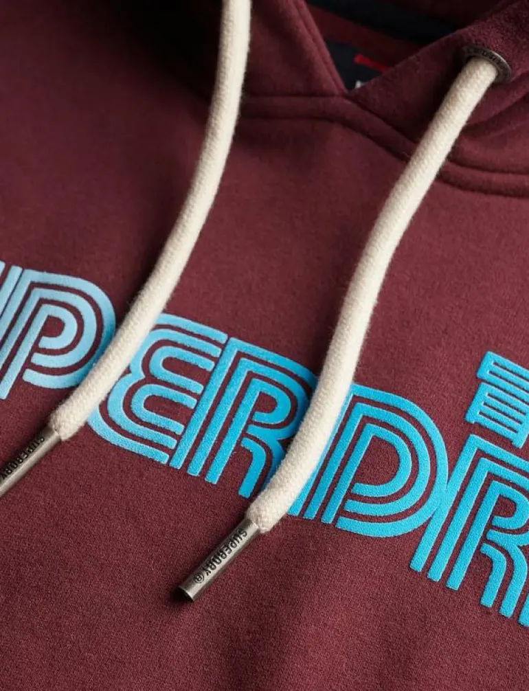 FADED CORE HOOD - Huvtröjor