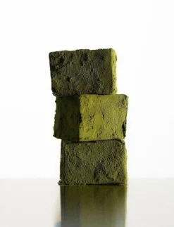 Golden Neroli Eau de Parfum - Eau de parfum