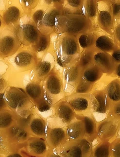 Laundry Day Eau de Parfum - Eau de parfum