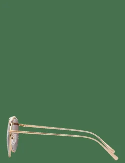 Lori Gold Brown - Pilot