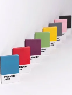 PANTONE CREDITCARD HOLDER IN MATTE AND GIFTBOX - Korthållare