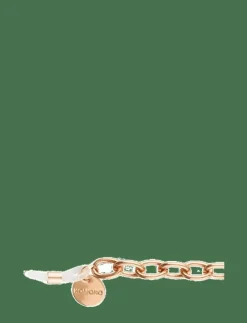 Ray Rose Gold - Glasögonfodral