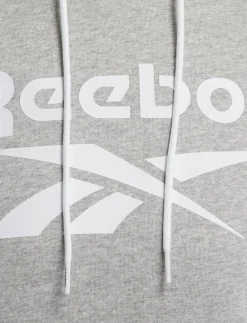 REEBOK IDENTITY BIG LOGO FLEECE HOO - Sweatshirts