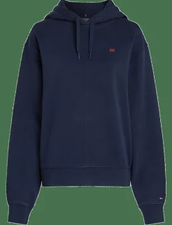 REG CONTRAST FLAG HOODIE - Huvtröjor